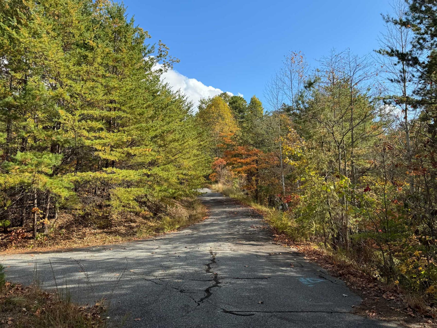 Peaks at Lake Lure Lot 44 - Image# 12