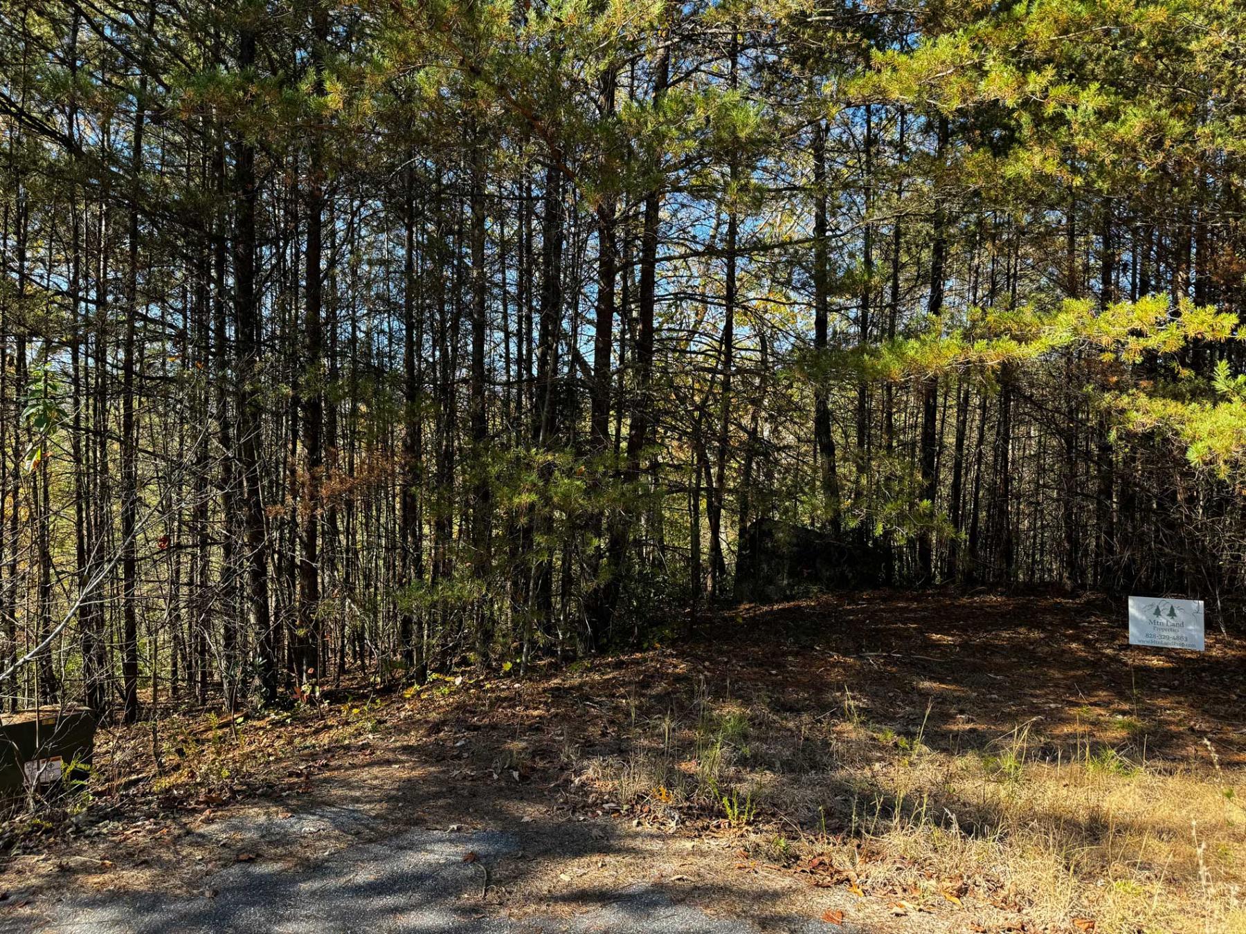 Peaks at Lake Lure Lot 44 - Image# 2