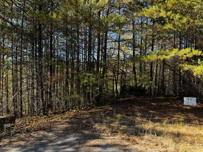 Peaks at Lake Lure Lot 44 - Image# 2