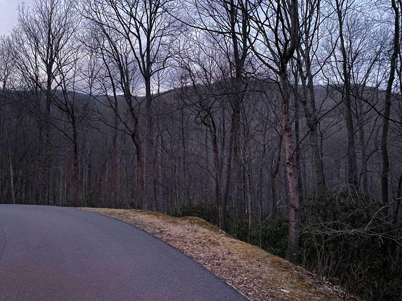 Laurel Ridge Lots - Image# 15