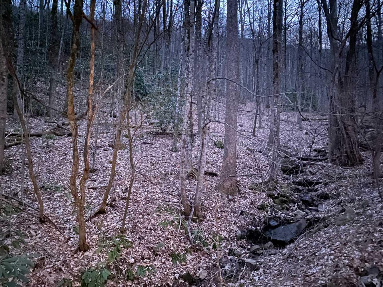 Laurel Ridge Lots - Image# 4