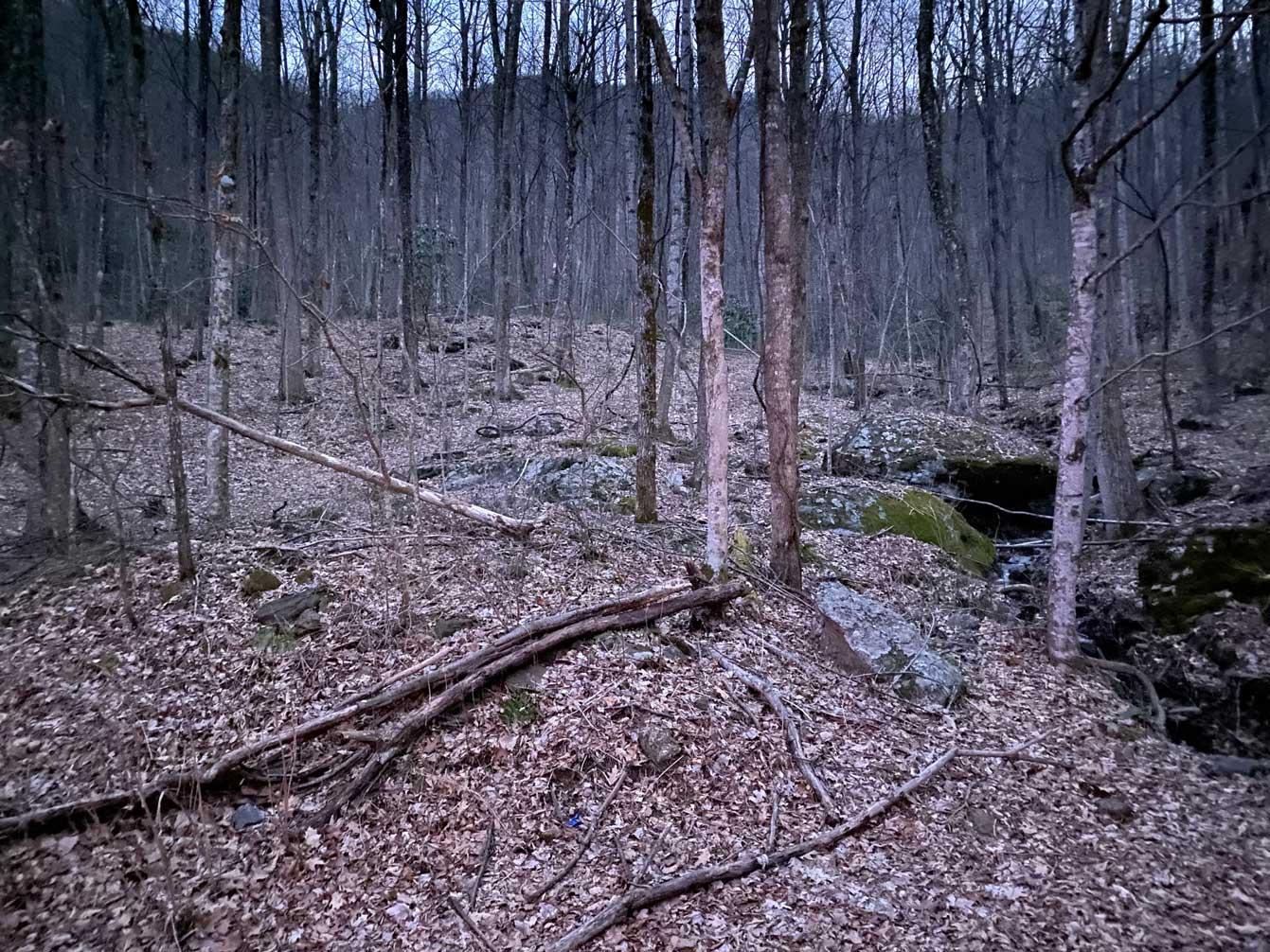 Laurel Ridge Lots - Image# 3