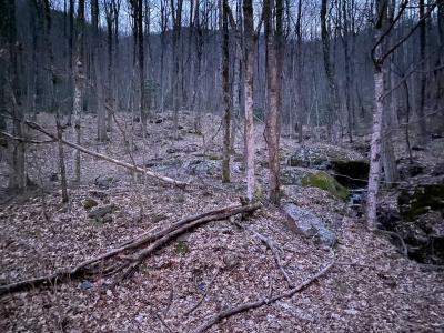 Laurel Ridge Lots - Image# 3