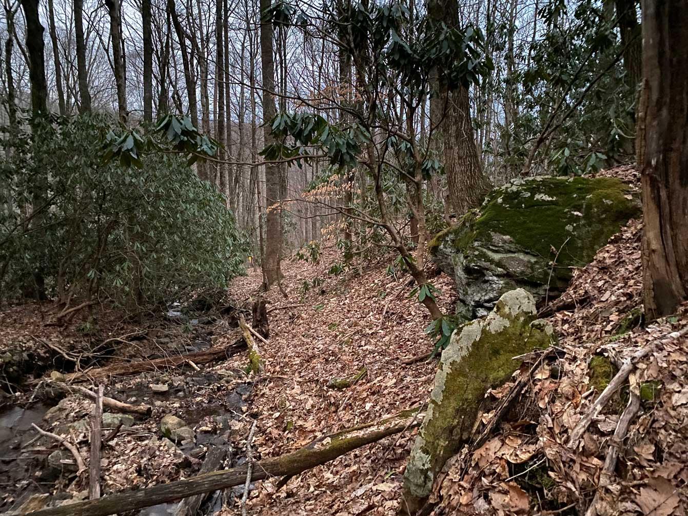 Laurel Ridge Lots - Image# 5