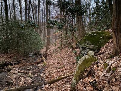 Laurel Ridge Lots - Image# 5