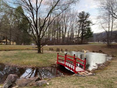 Laurel Ridge Lots - Image# 6