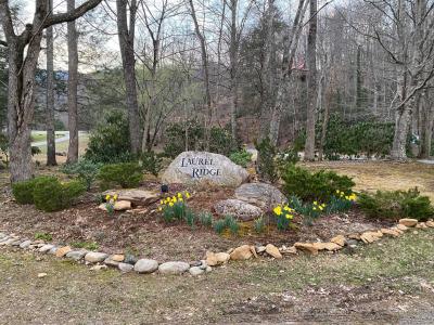 Laurel Ridge Lots - Image# 7