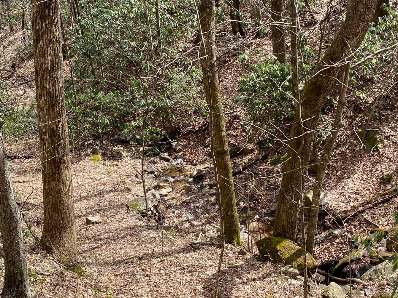 Laurel Ridge Lots - Image# 9