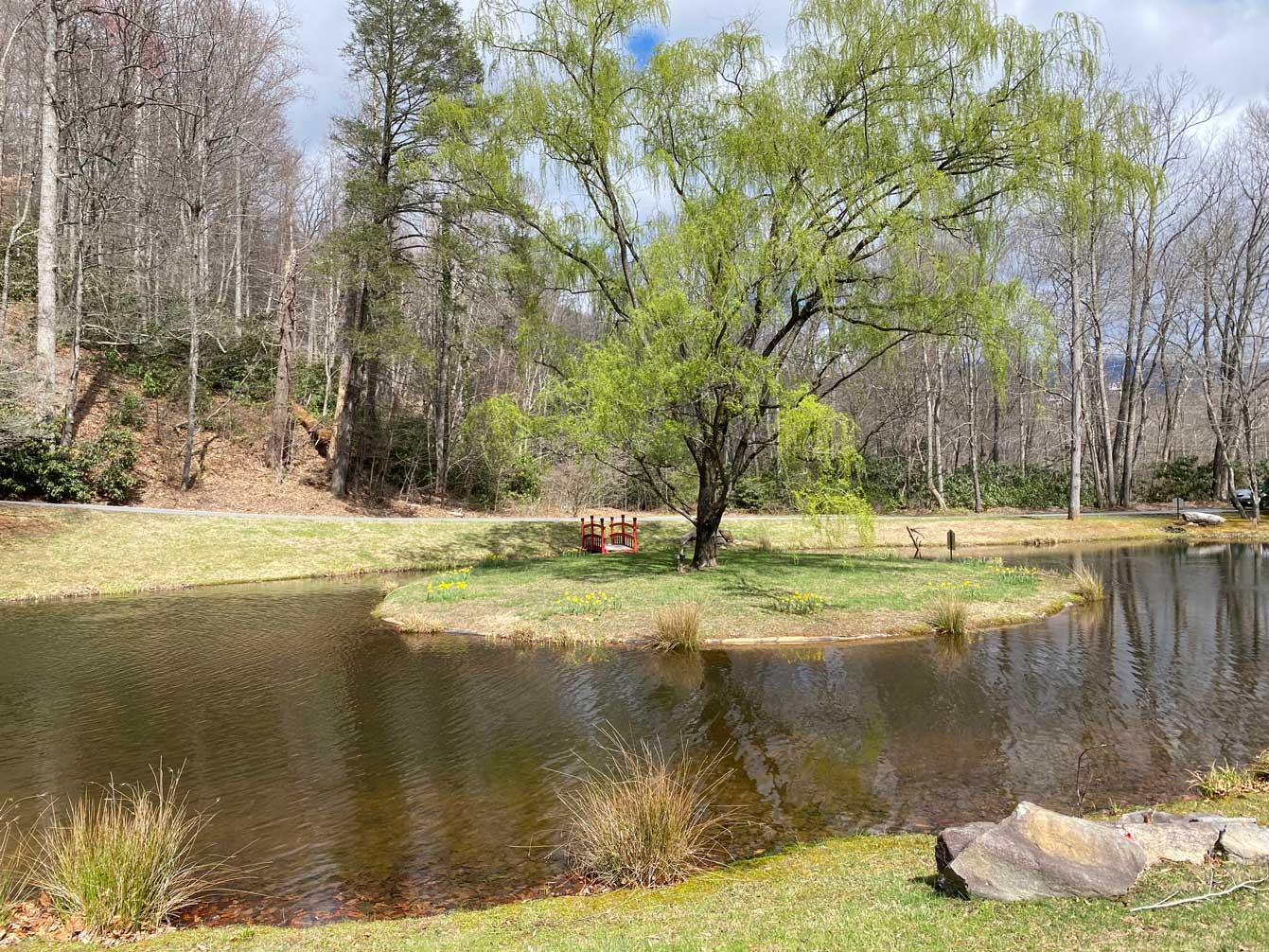 Laurel Ridge Lots - Image# 10