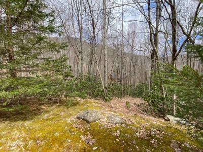 Laurel Ridge Lots - Image# 11