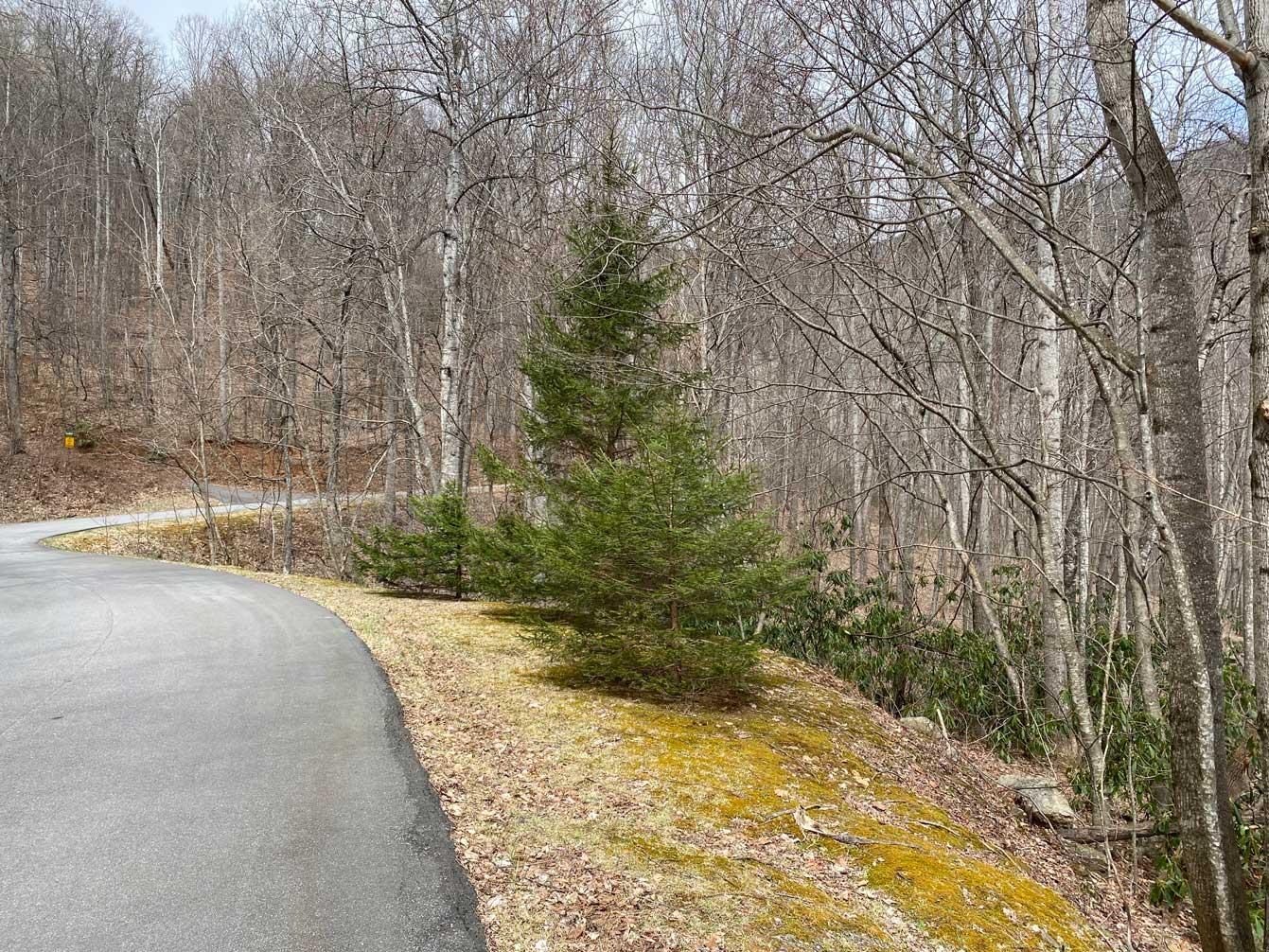 Laurel Ridge Lots - Image# 2