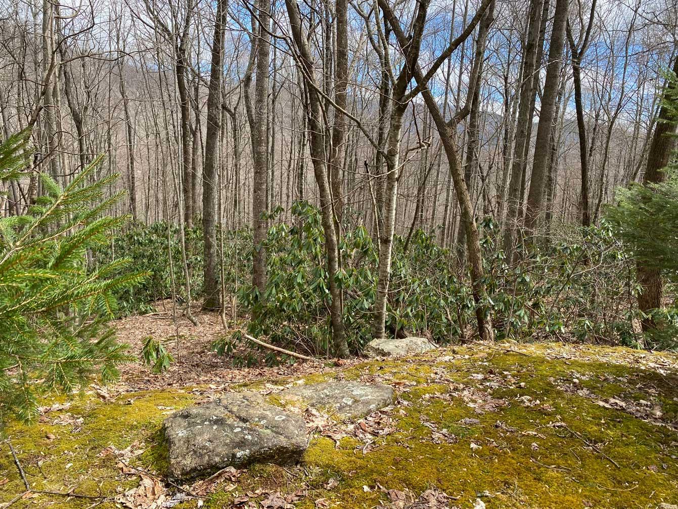 Laurel Ridge Lots - Image# 13