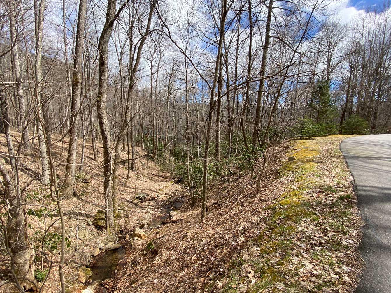 Laurel Ridge Lots - Image# 14