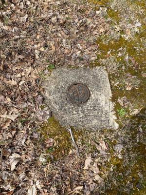 Laurel Ridge Lots - Image# 12